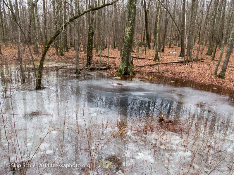 Quabbin Reservoir-2659