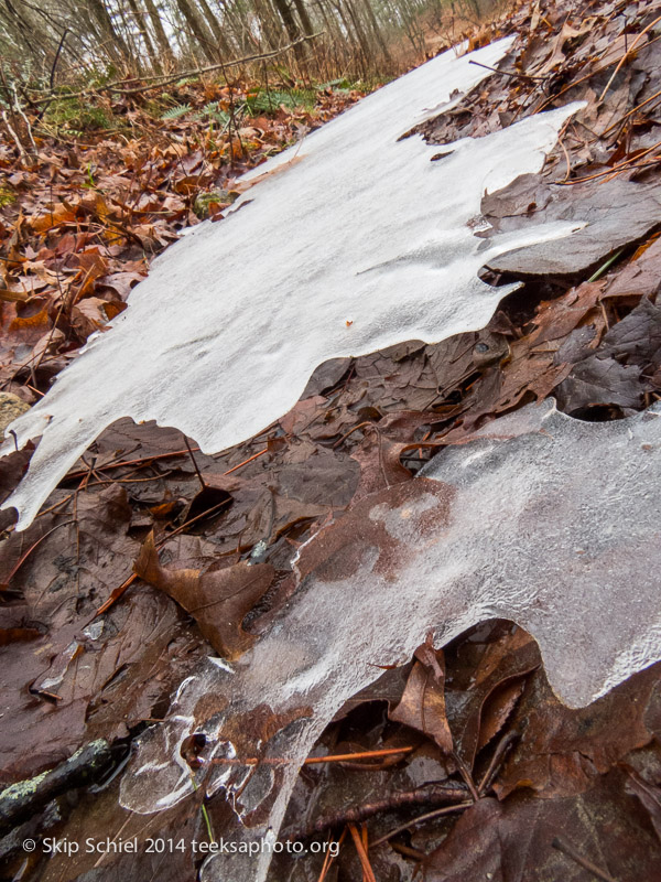 Quabbin Reservoir-2664