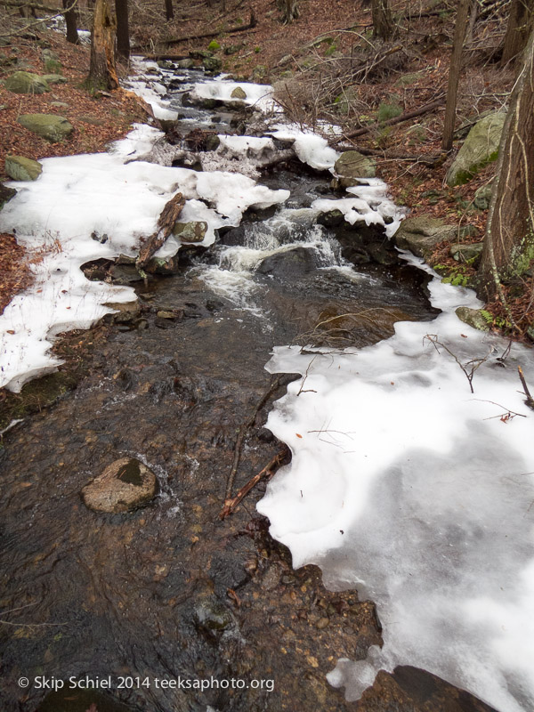 Quabbin Reservoir-2672