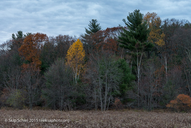 Blue Hills-Boston-1562