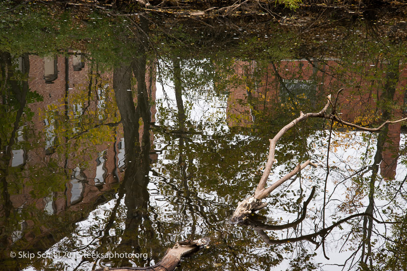 Charles River-Watertown-0980