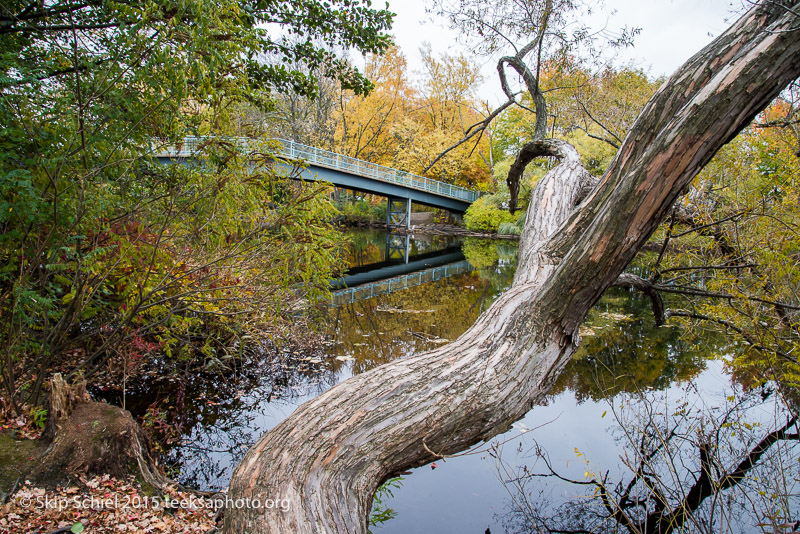 Charles River-Watertown-1123