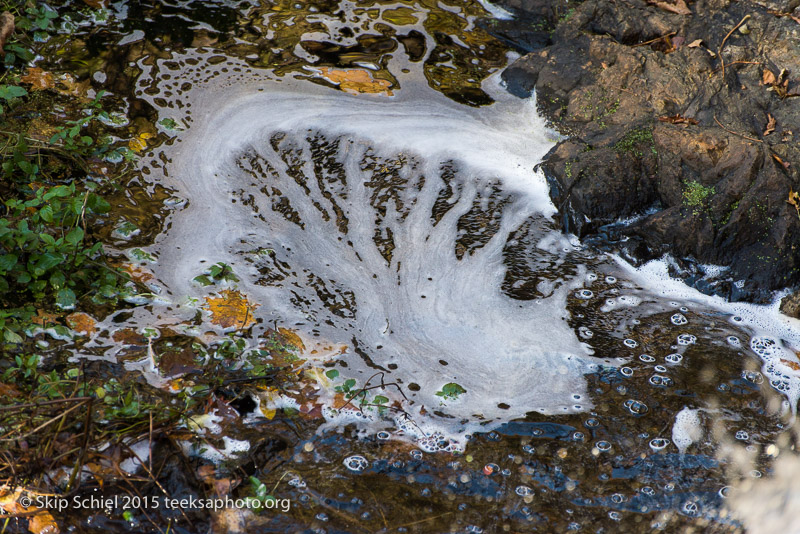 Beaver Brook Reservation-1352