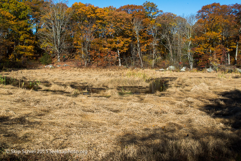 Beaver Brook Reservation-1363