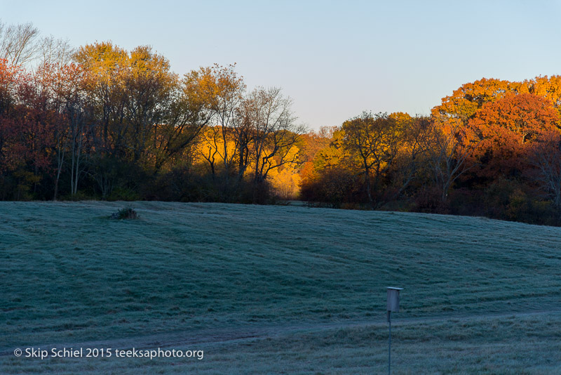 Rock Meadow-1195