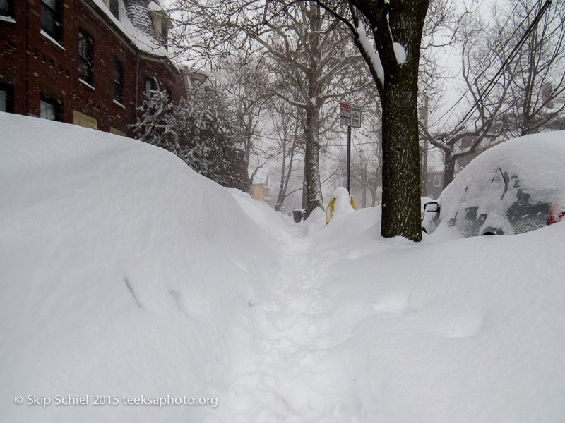 Snow-Cambridge-0657