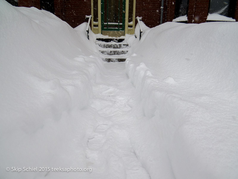 Snow-Cambridge-0661