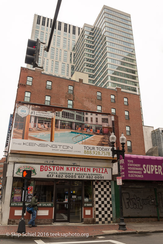 Boston-Social Landscape_DSC2896