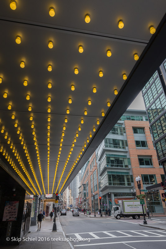 Boston-Social Landscape_DSC2923