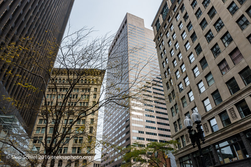 Boston-Social Landscape_DSC2965