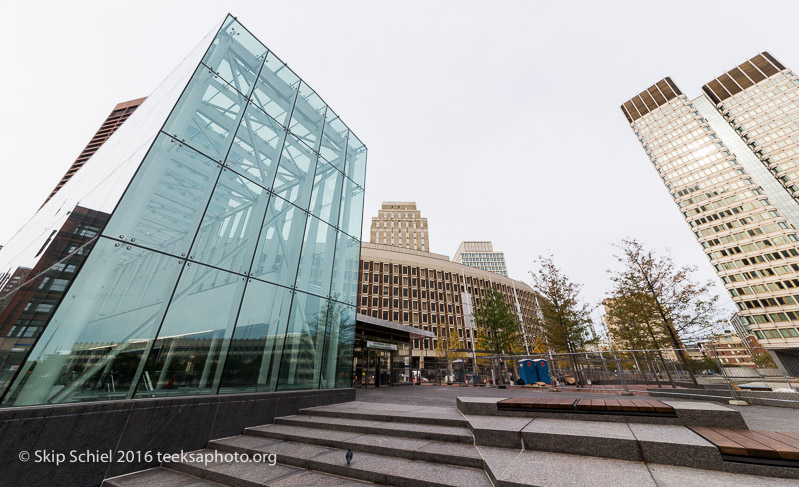 Boston-Social Landscape_DSC2981