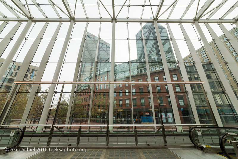 Boston-Social Landscape_DSC2990