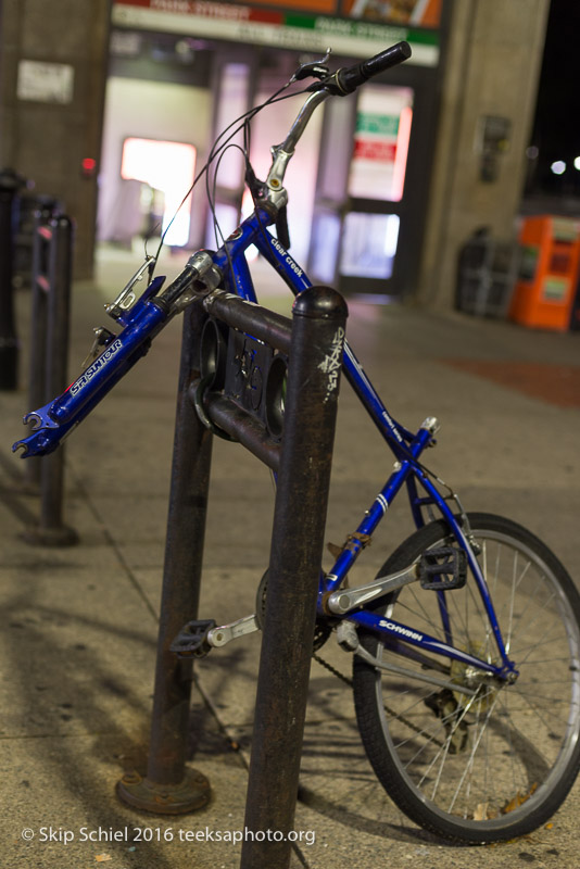 Boston-Social Landscape_DSC2658