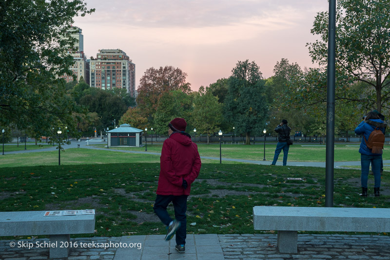 Boston-Social Landscape_DSC2713