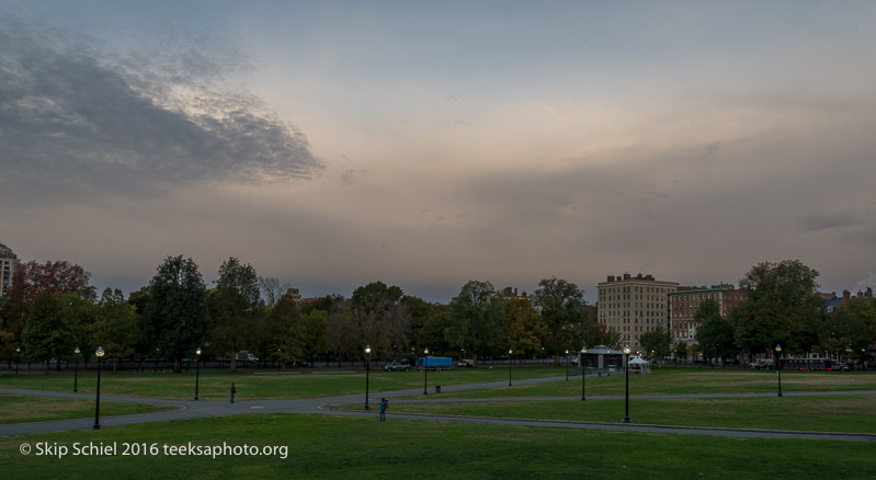 Boston-Social Landscape_DSC2727