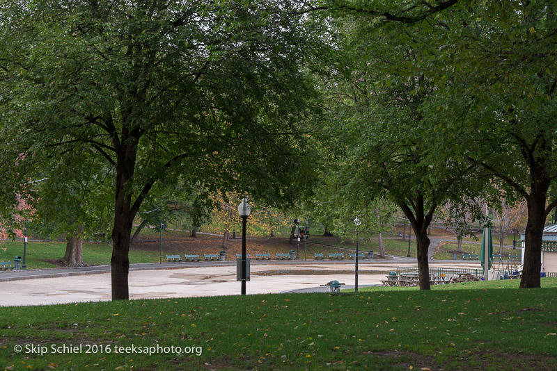 Boston-Social Landscape_DSC2734