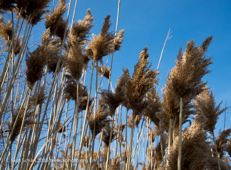 Columbia Point-Boston_DSC1671