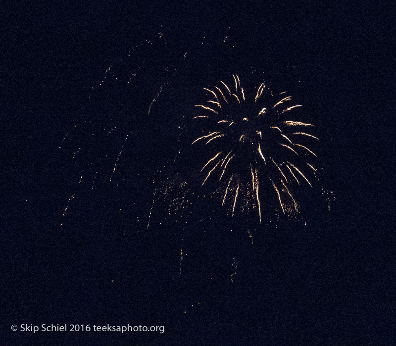 Fireworks_IMG_4447