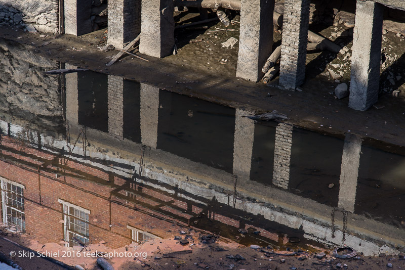 Lowell-Social Landscape_DSC3018