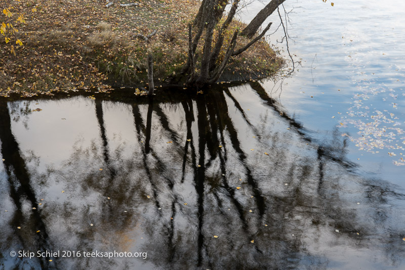 Lowell-Social Landscape_DSC3032