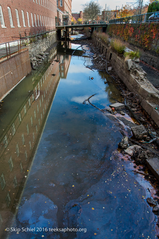 Lowell-Social Landscape_DSC3044