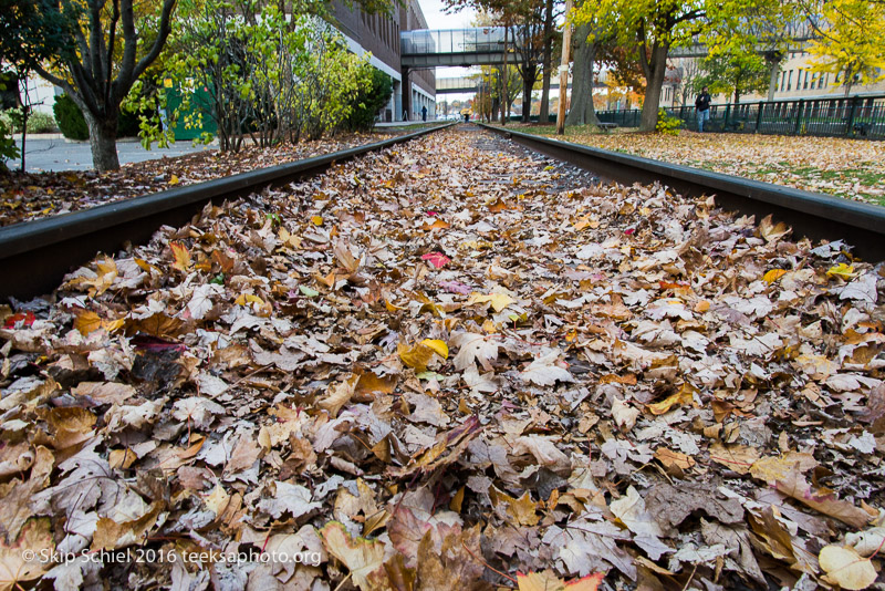 Lowell-Social Landscape_DSC3080