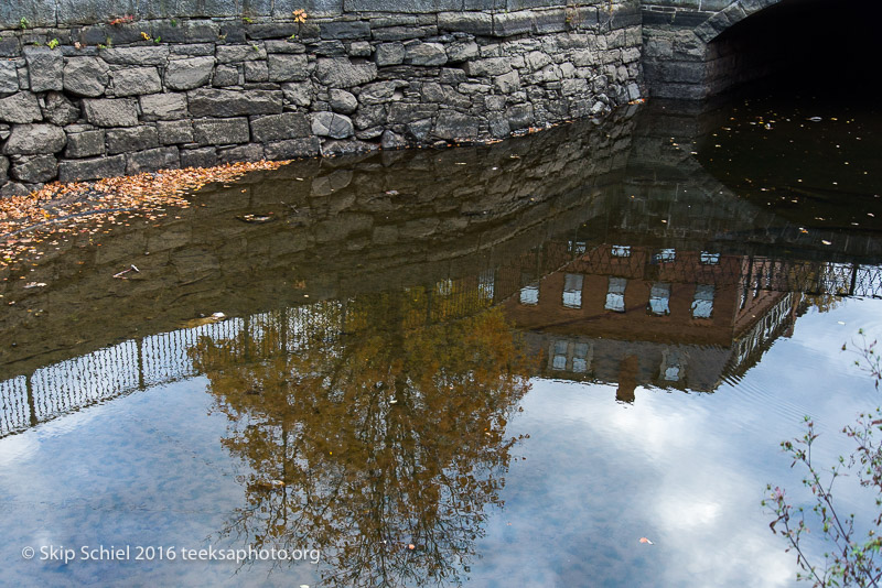 Lowell-Social Landscape_DSC3093