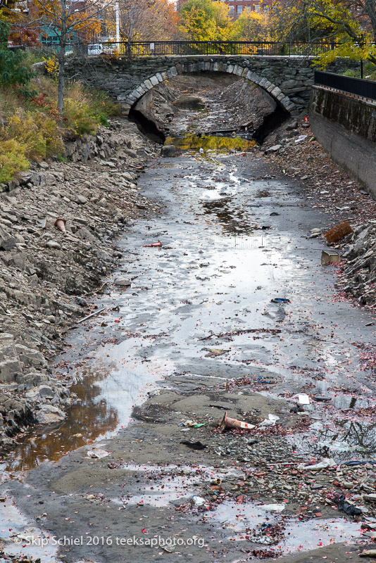 Lowell-Social Landscape_DSC3147