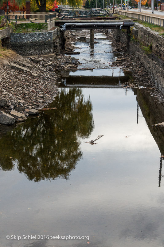 Lowell-Social Landscape_DSC3150