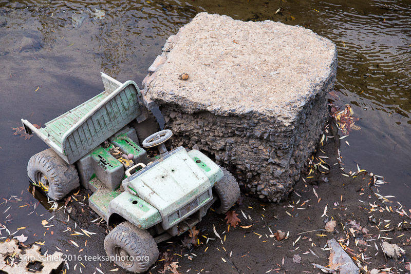 Lowell-Social Landscape_DSC3153
