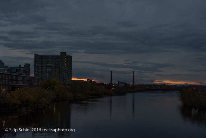 Lowell-Social Landscape_DSC3186