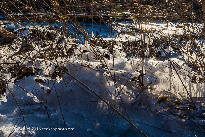 Scituate_DSC1963