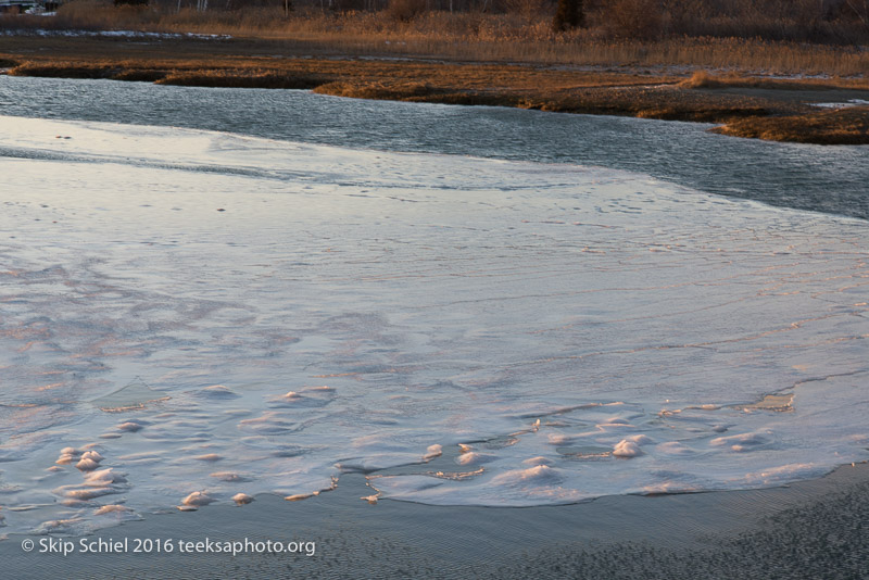 Scituate_DSC2000