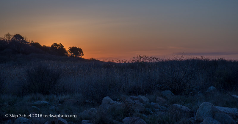 Gloucester-sunrise-Cape Ann_DSC2295