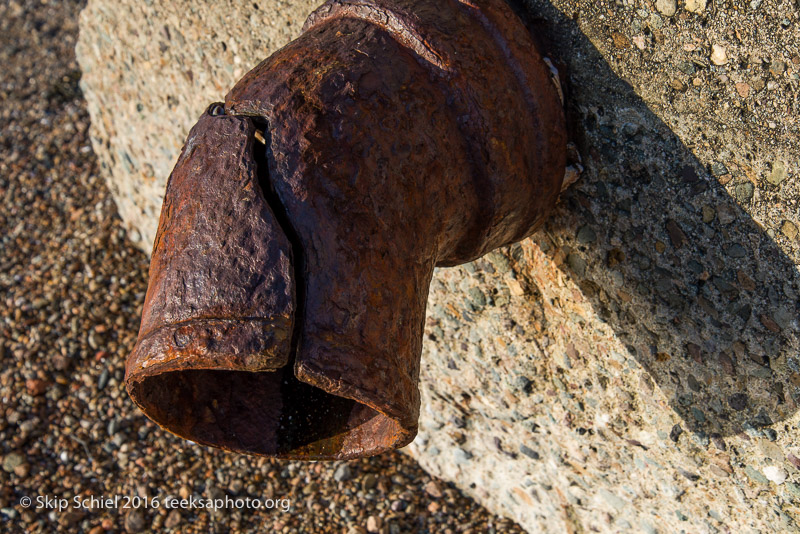 Gloucester-sunrise-Cape Ann_DSC2348