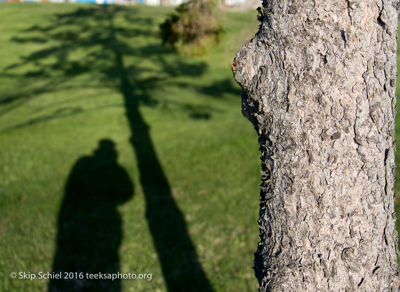 Gloucester-sunrise-Cape Ann_DSC2364