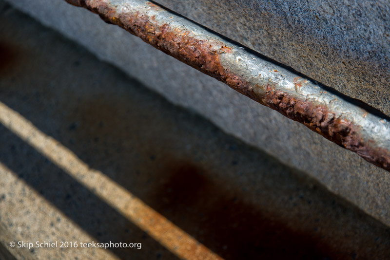 Gloucester  _DSC2039