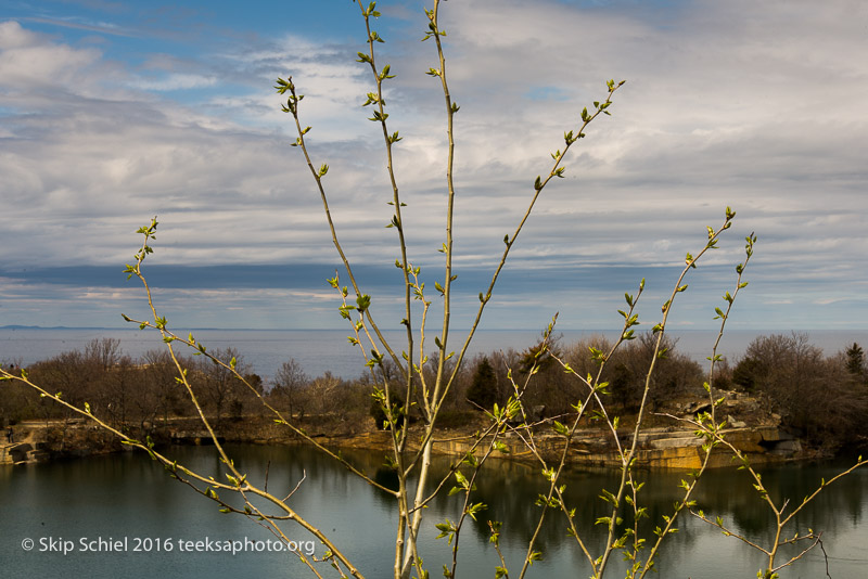 Halibut Point-Cape Ann_DSC2153