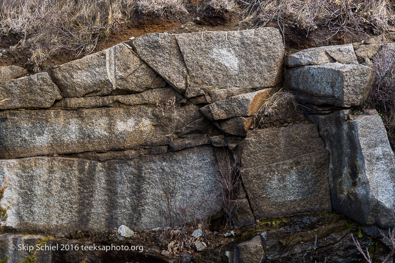 Halibut Point-Cape Ann_DSC2195