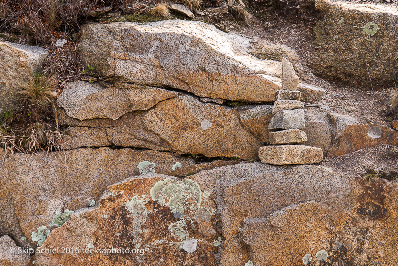 Halibut Point-Cape Ann_DSC2203