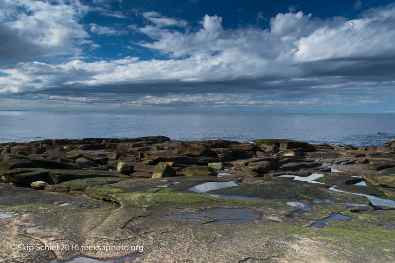 Halibut Point-Cape Ann_DSC2212