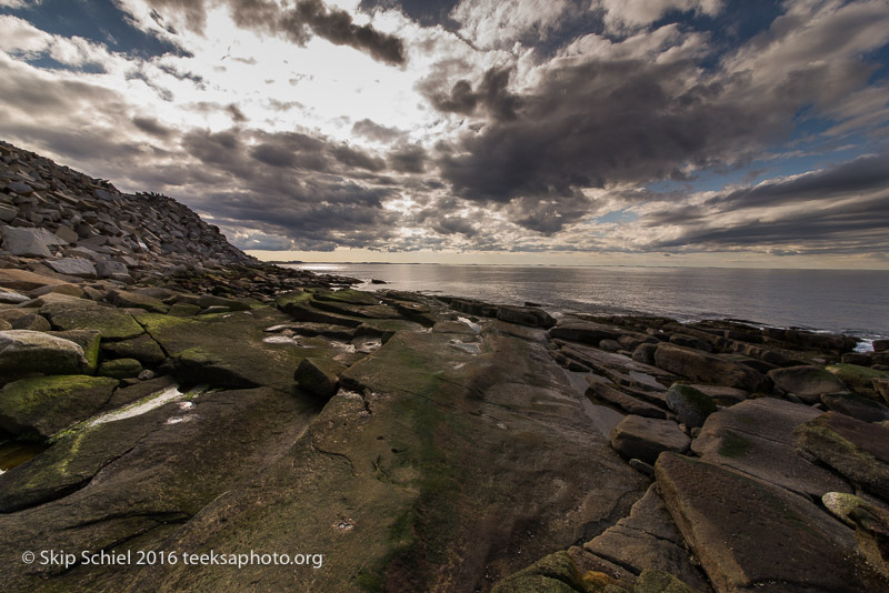 Halibut Point-Cape Ann_DSC2225