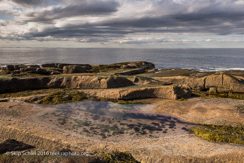 Halibut Point-Cape Ann_DSC2231