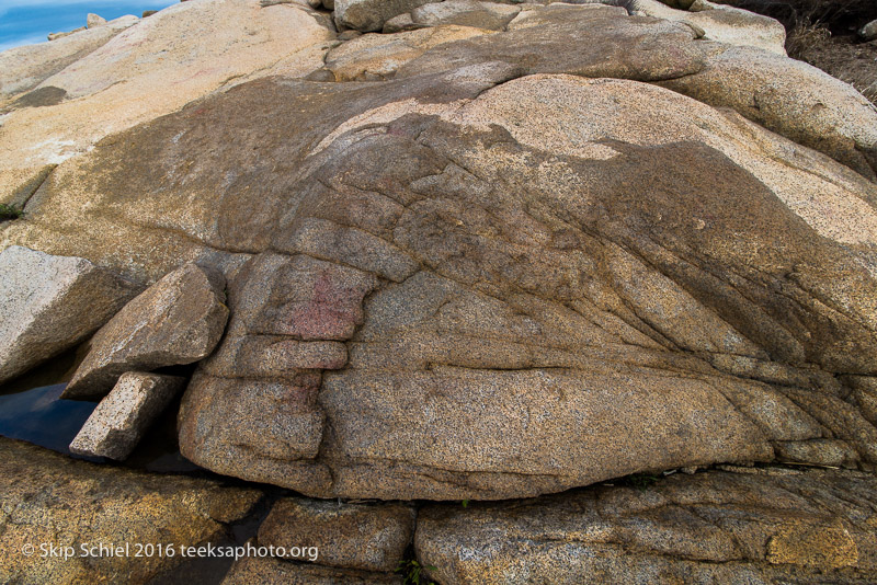 Halibut Point-Cape Ann_DSC2242