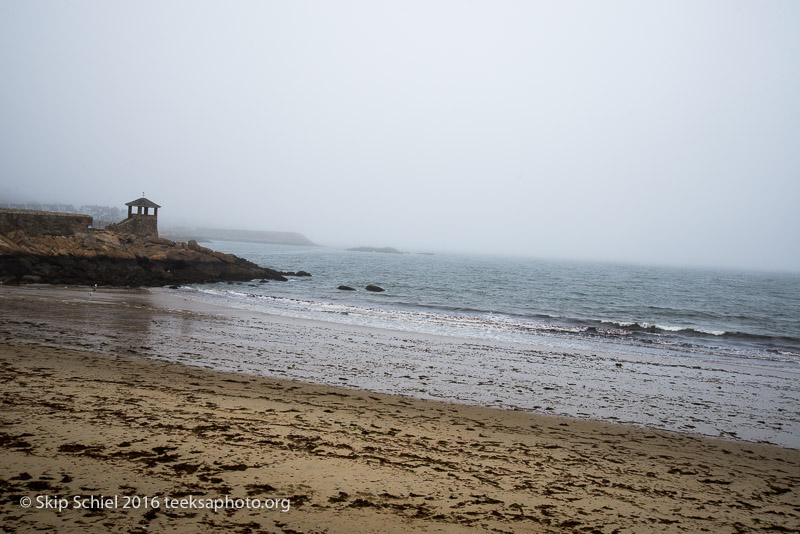 Cape Ann-Rockport_DSC2422