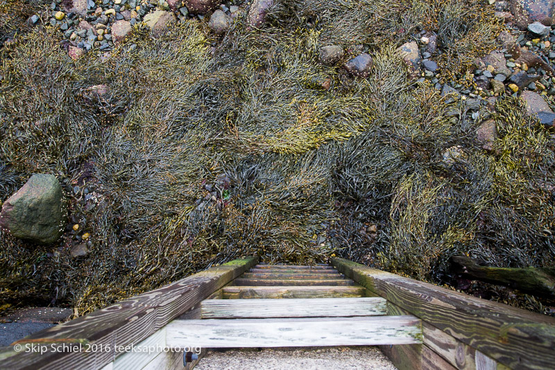 Cape Ann-Rockport_DSC2452