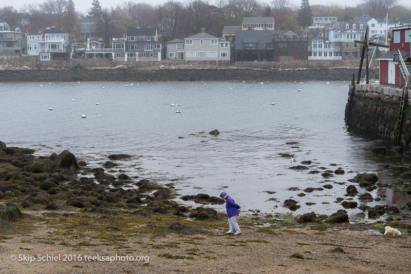 Cape Ann-Rockport_DSC2478