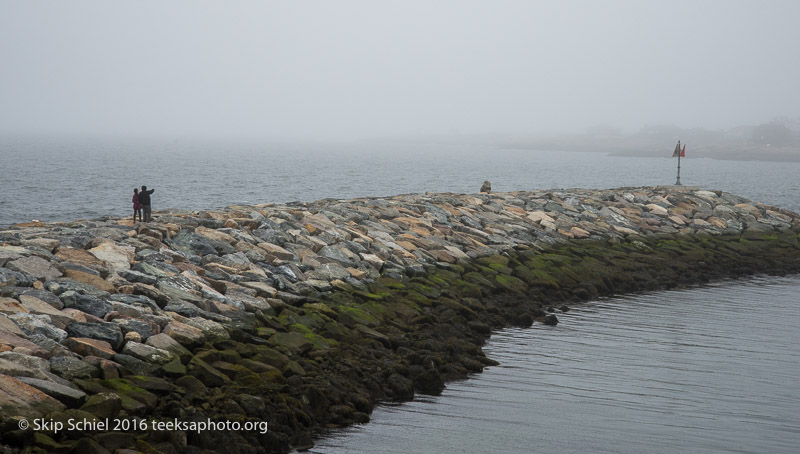 Cape Ann-Rockport_DSC2498