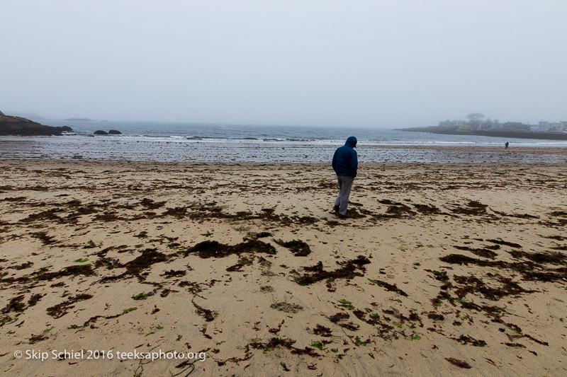 Cape Ann-Rockport_DSC2520