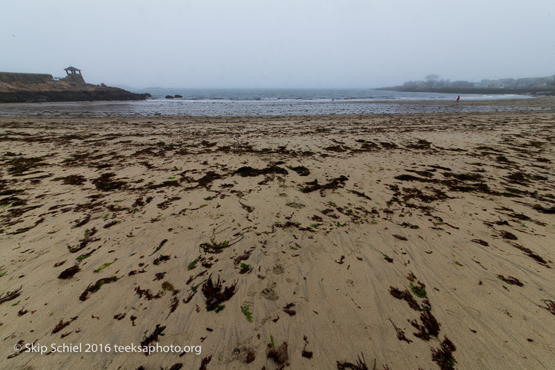 Cape Ann-Rockport_DSC2523